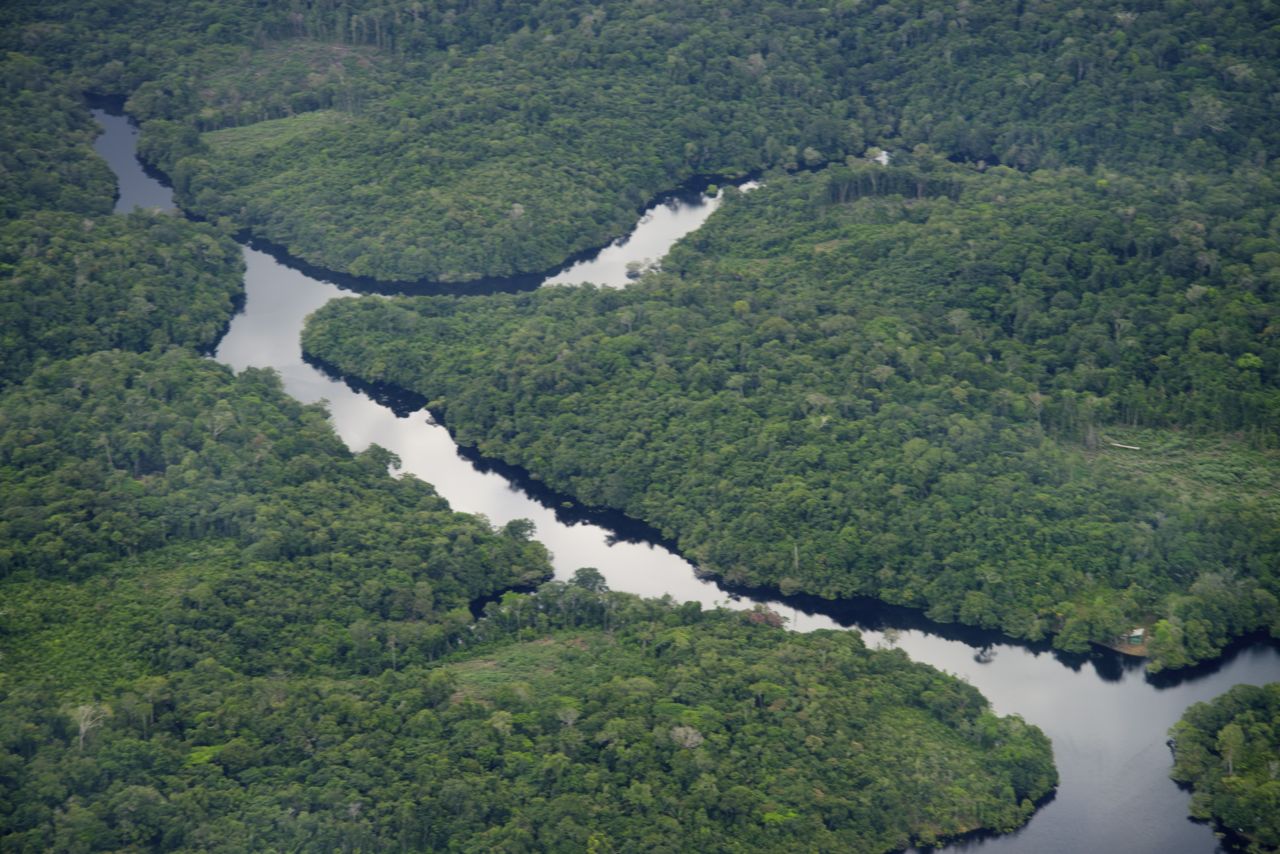 Os Igarapés são entradas dos rios na floresta.
