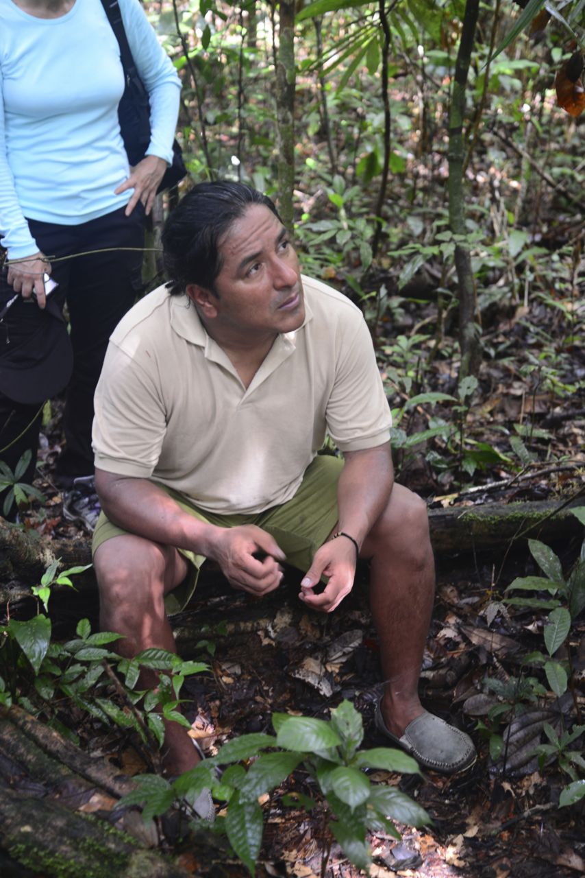 O guia/índio Piro, dando uma aula sobre a flora amazônica, no meio da floresta.