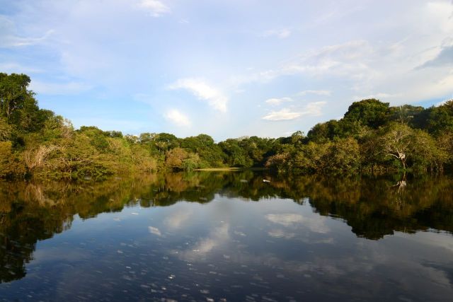 Os espelhos d'água na região das Anavilhanas.