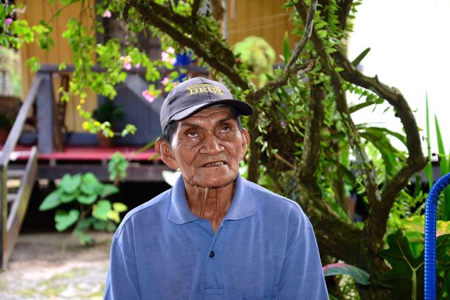 Os nordestinos foram para a Amazônia trabalhar no Ciclo da Borracha.