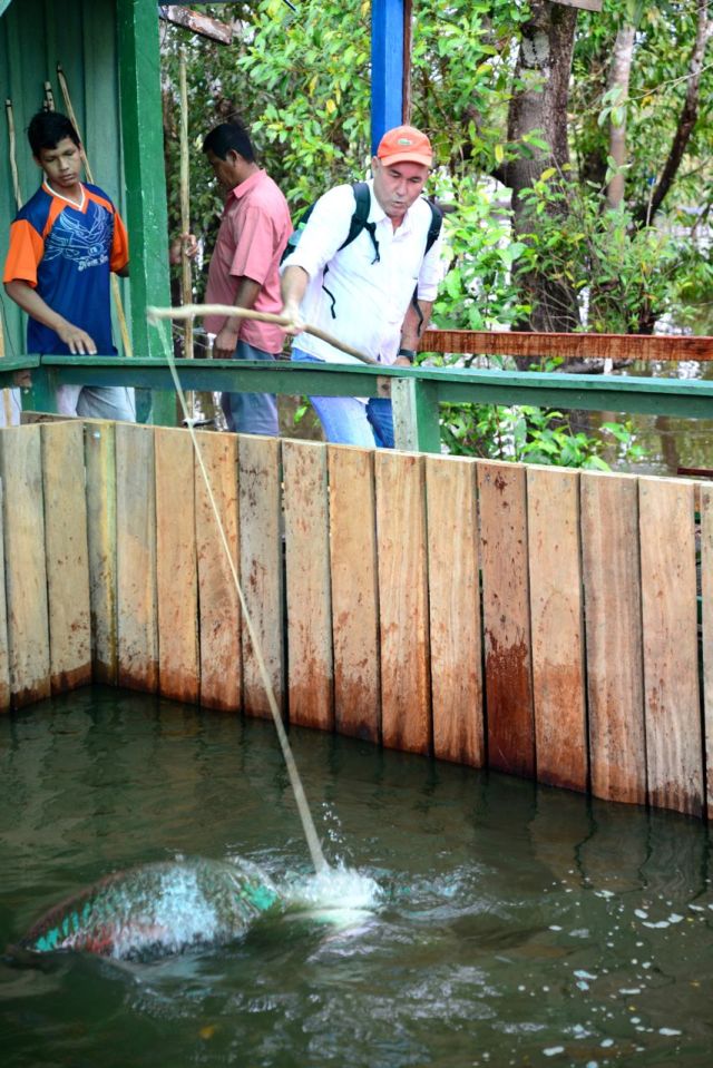 A simulação da pesca do pirarucu.