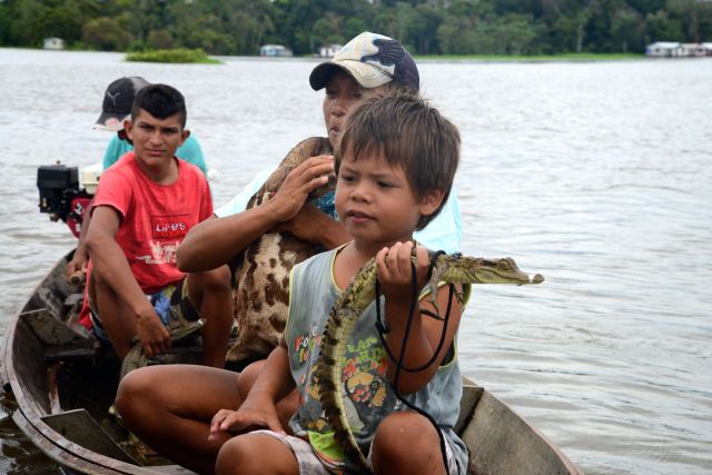 Família de caboclo ganha a vida expondo animais no meio do rio.