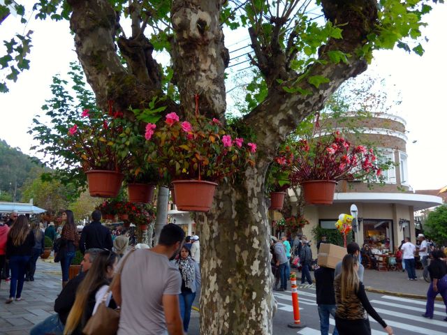 A cidade lota no inverno.