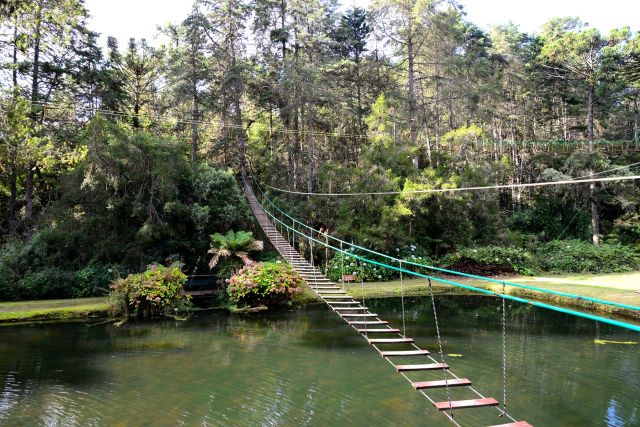 Arvorismo e trilhas no Horto Florestal de Campos do Jordão.
