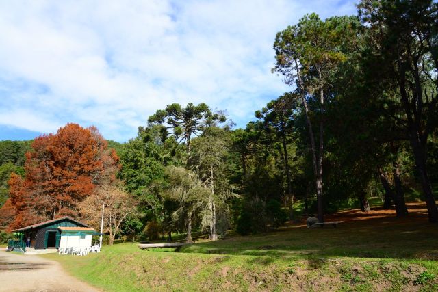 O Horto Florestal de Campos do Jordão.
