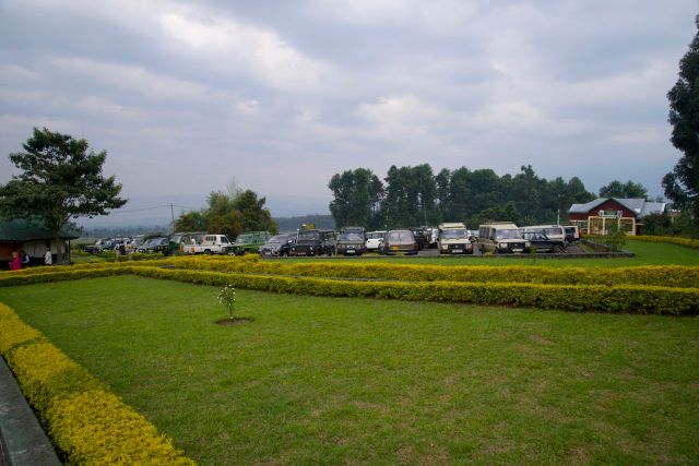Os carros de safari, preparados para sair ao encontro dos gorilas.