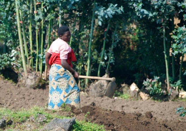 Comunidade agrícola na base da montanha.