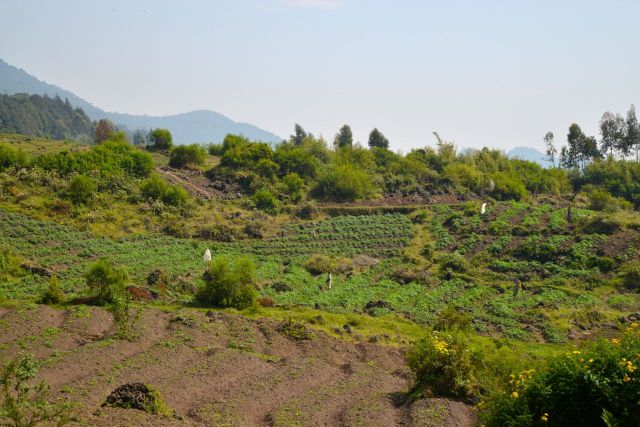 Montanhas e agricultura familiar de subsistência, por todo o país.