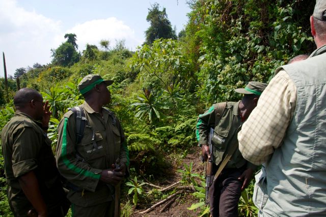 A vegetação é fechada no interior do Parque Nacional.