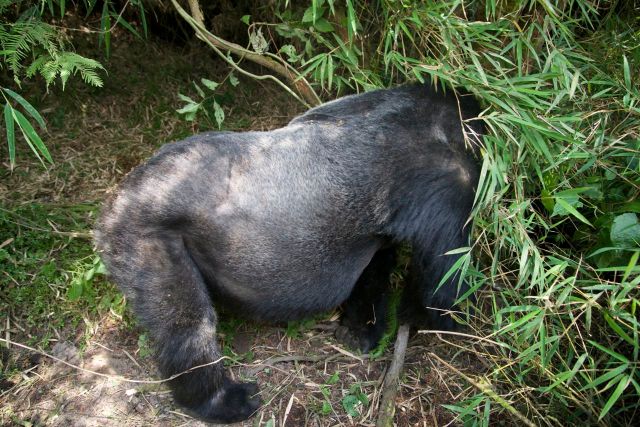 O líder do grupo que visitamos.