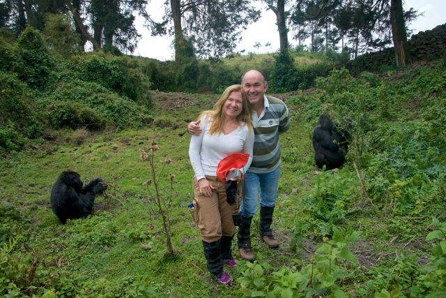 Convivendo com os gorilas.