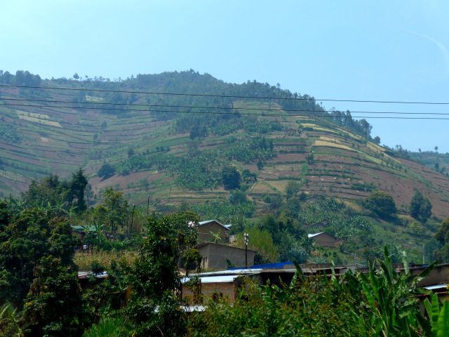 A agricultura intensiva familiar ocupa as encostas das montanhas.