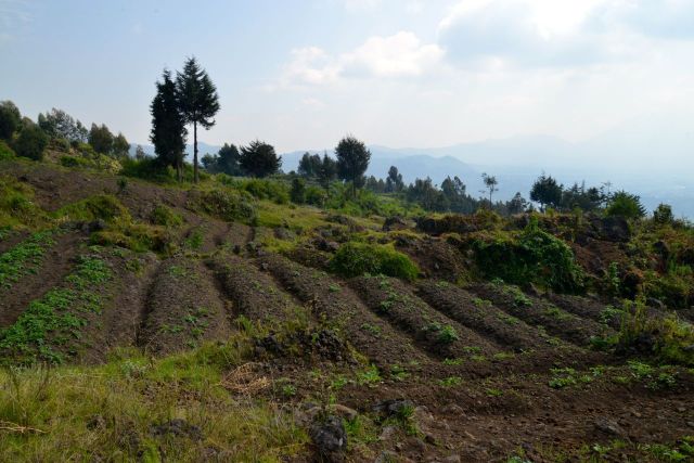 Lavoura nas encostas.