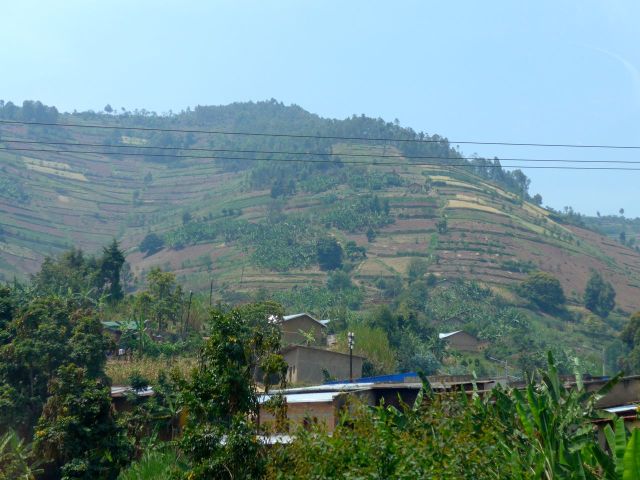 As montanhas de Ruanda são bastante cultivadas.