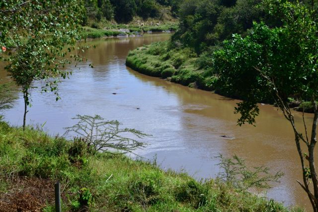 O Rio Mara, cheio de hipopótamos e crocodilos.