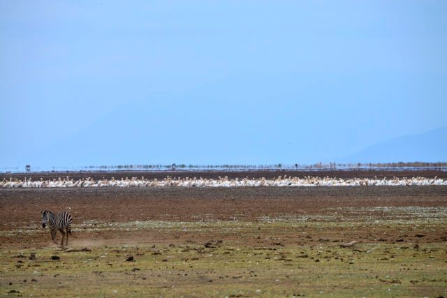 O lago é formado pela acumulação da água do subsolo.