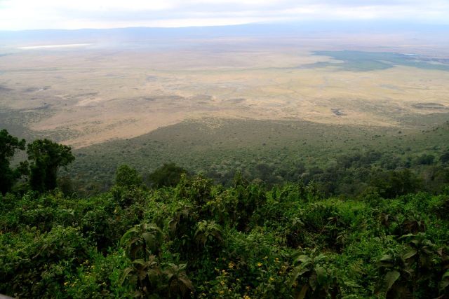 A vista do Ngorongoro é impressionante e aumenta a expectativa. 