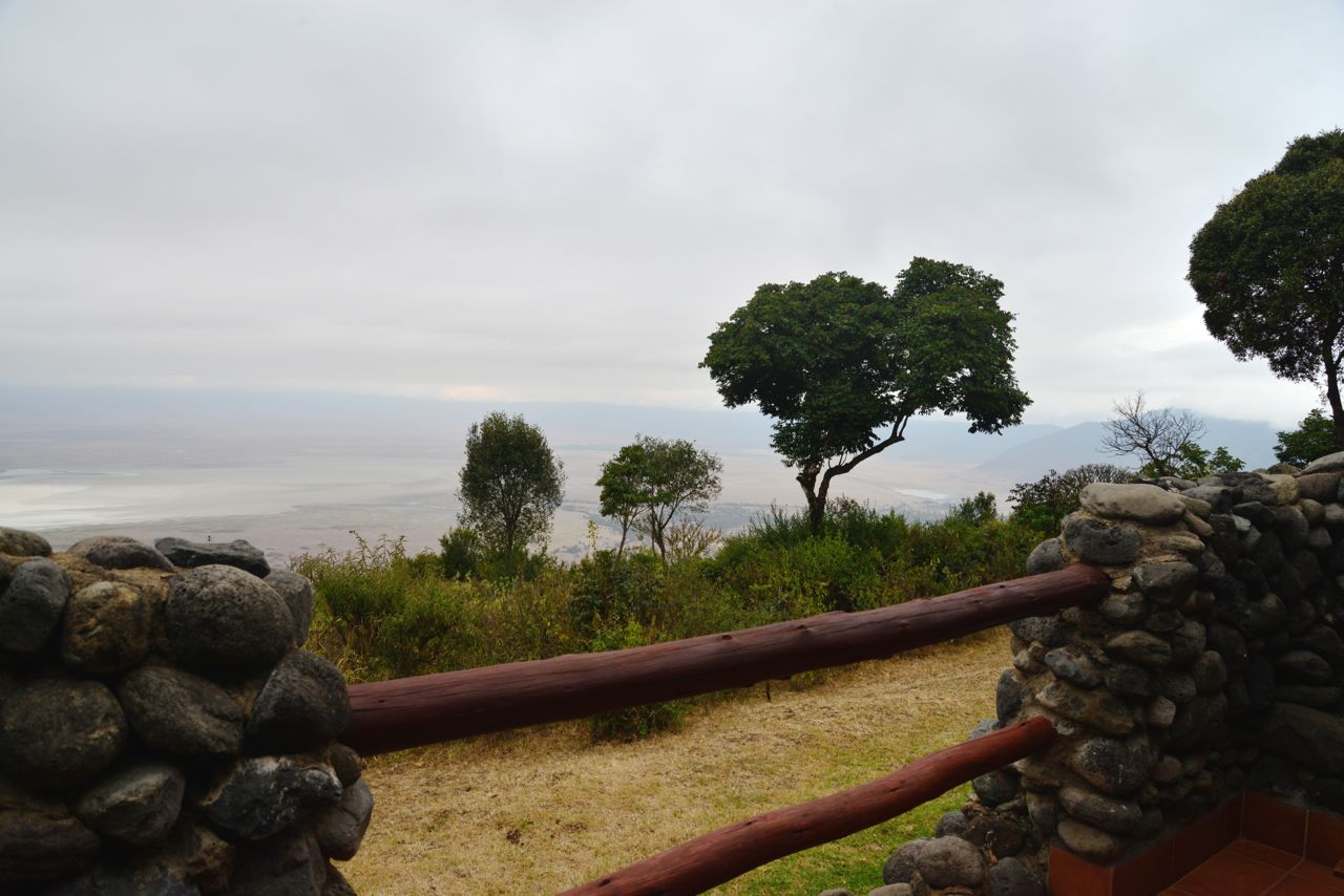 A neblina densa cobria a Cratera do Ngorongoro.