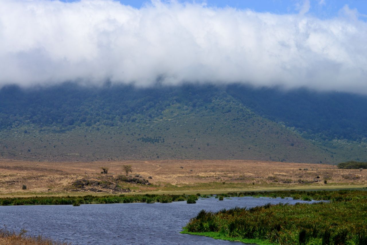 A borda da Cratera do Ngorongoro está sempre coberta por uma neblina intensa.