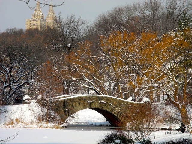 O Central Park em Nova York, após uma tempestade de neve.