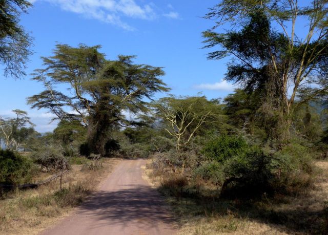 A estrada que circunda a borda da cratera.