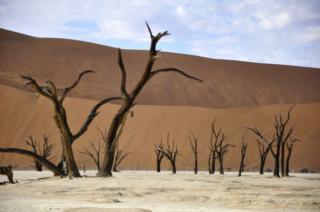 O Vale da Morte na Namíbia