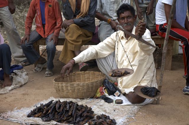 Vendedor de peixe seco, na Índia