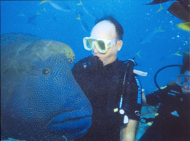 Mergulho na Grande Barreira de Corais - Austrália. 