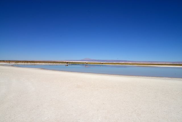 A Laguna Cejar 