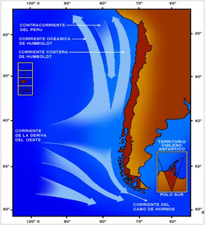 A Corrente de Humboldt