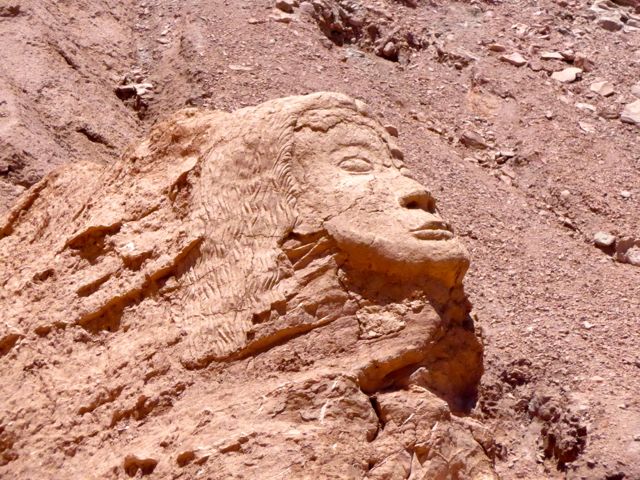 A cabeça esculpida na pedra em Pukara de Quitor.