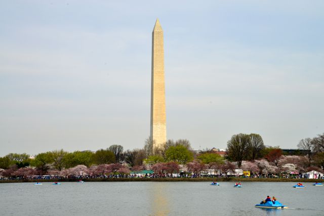Monumento a Washington, o Obelisco da cidade.