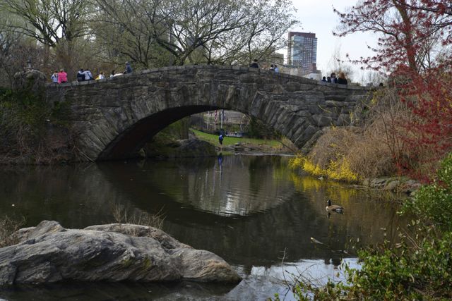 Detalhe do Central Park