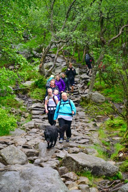 A trilha para a Pedra do Púlpito.