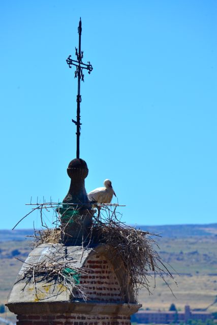 Ninho de cegonha em Ávila.