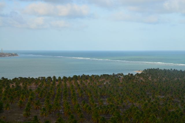 A vista do Mirante do Gunga.