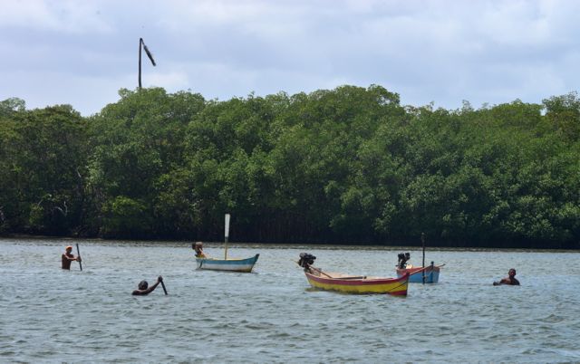 Os pescadores e o manguezal.