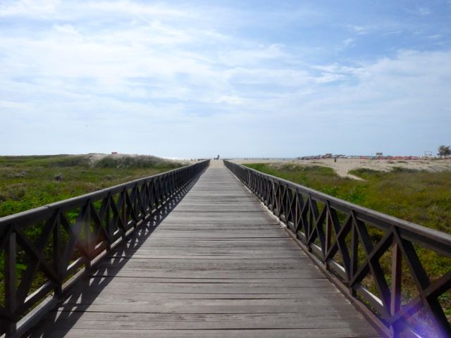 Extensas passarelas de madeira dão acesso à praia.