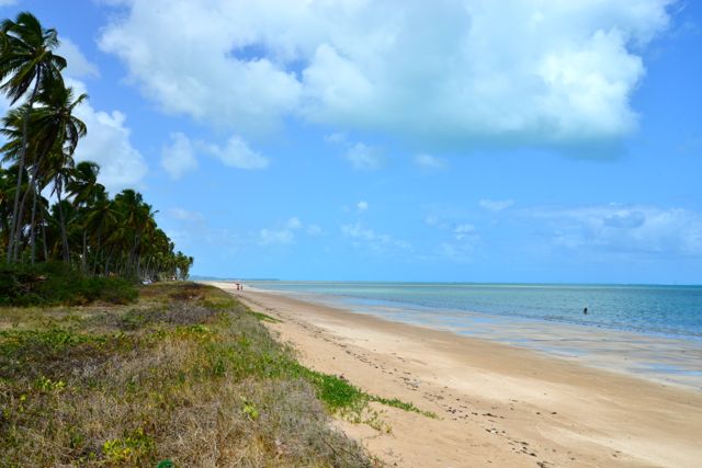 A bela praia de Maragogi, no litoral norte de Alagoas.