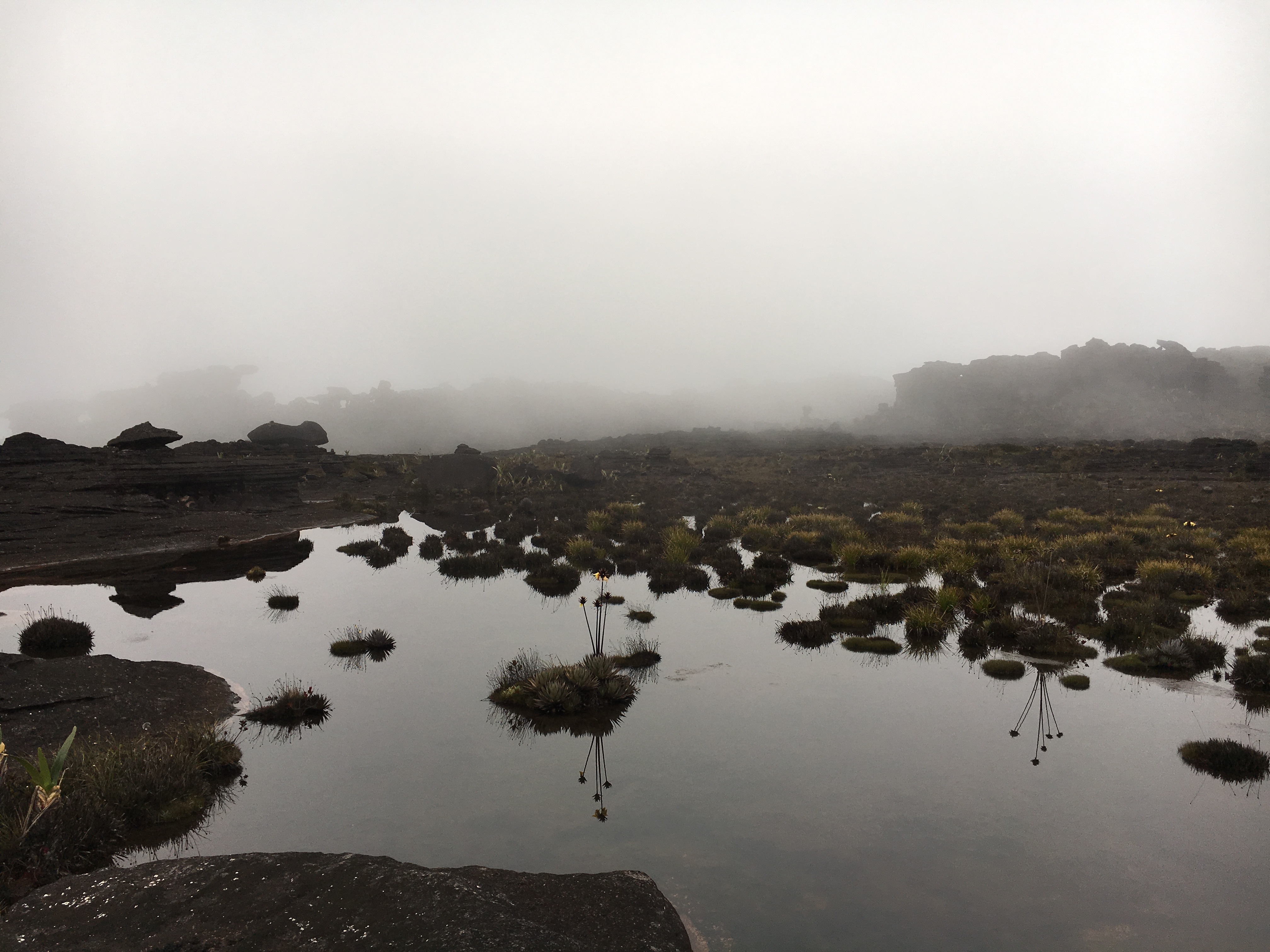 2-IMG_3541