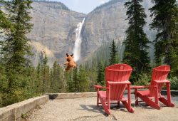 A Takakkaw Falls e o Emerald Lake