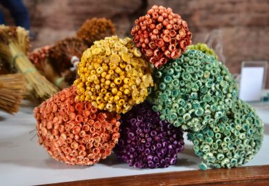 Mucugê e a origem do garimpo na Chapada Diamantina