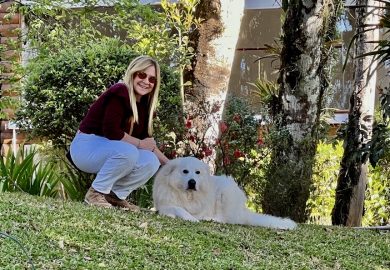 Monte Verde, um destino de contemplação