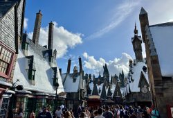 O Mundo Mágico do Harry Potter