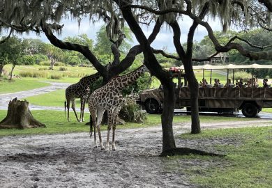 Animal Kingdom, o maior parque do complexo Disney