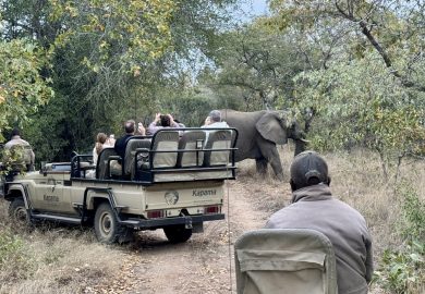 Encurralados entre elefantes