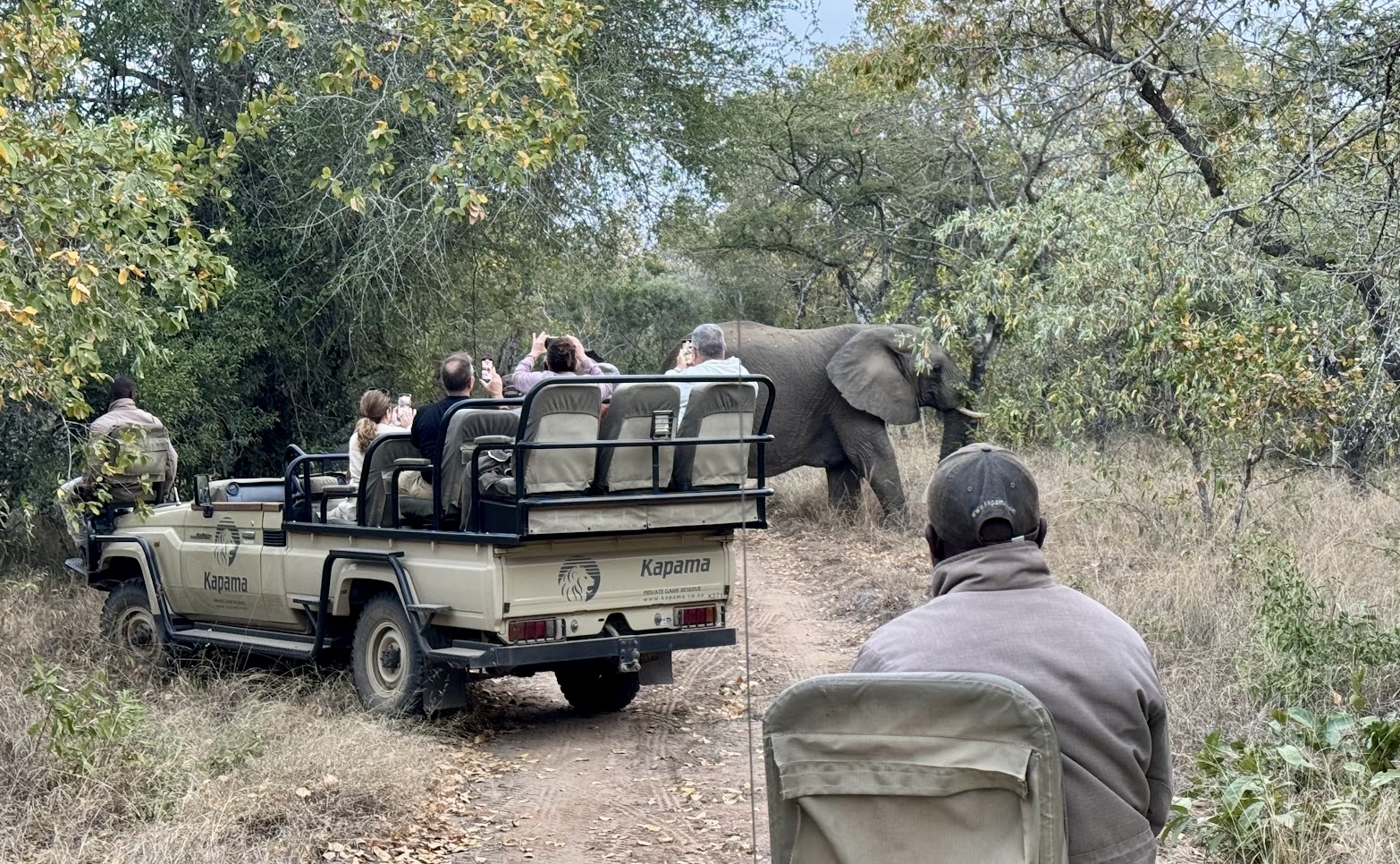 Encurralados entre elefantes