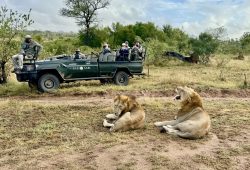 Seguindo para a Reserva Sabi Sand