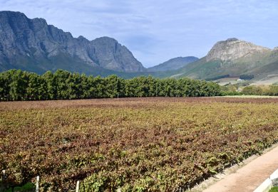 Franschhoek – A produção de vinhos da África do Sul