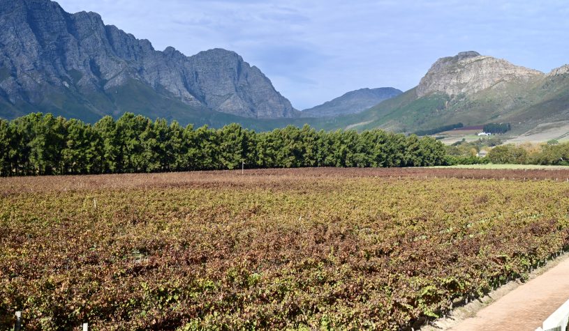 Franschhoek – A produção de vinhos da África do Sul